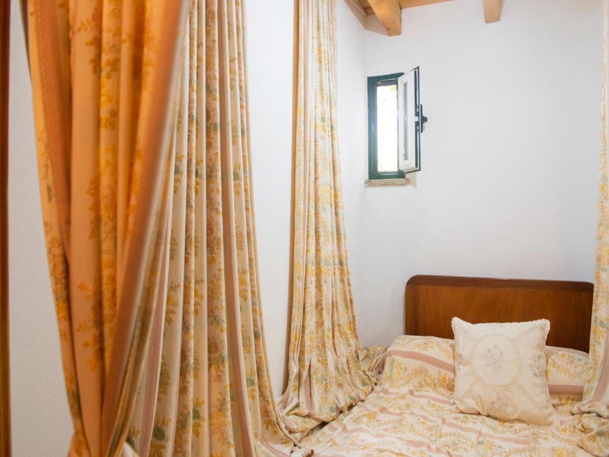 Willa House With Authentic Tiling And Antique Furniture Montemor-o-Novo Zewnętrze zdjęcie